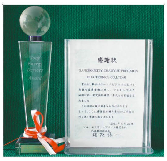 SONY(yu)̪(2011)SONY Energy Device Award, 2011