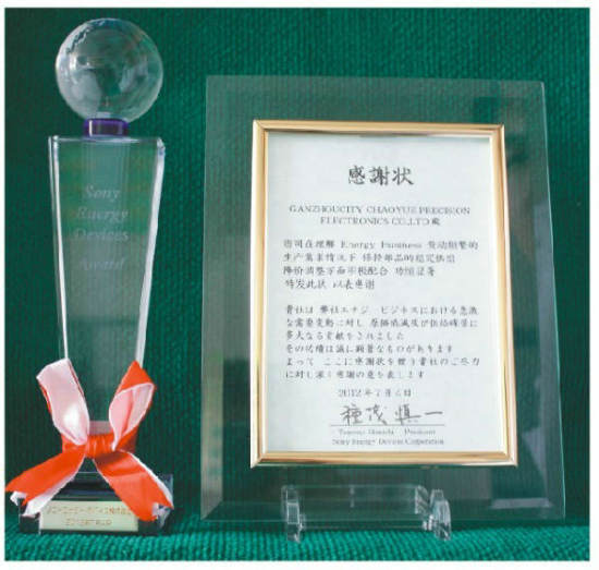 SONY(yu)̪(2012)SONY Energy Device Award, 2012